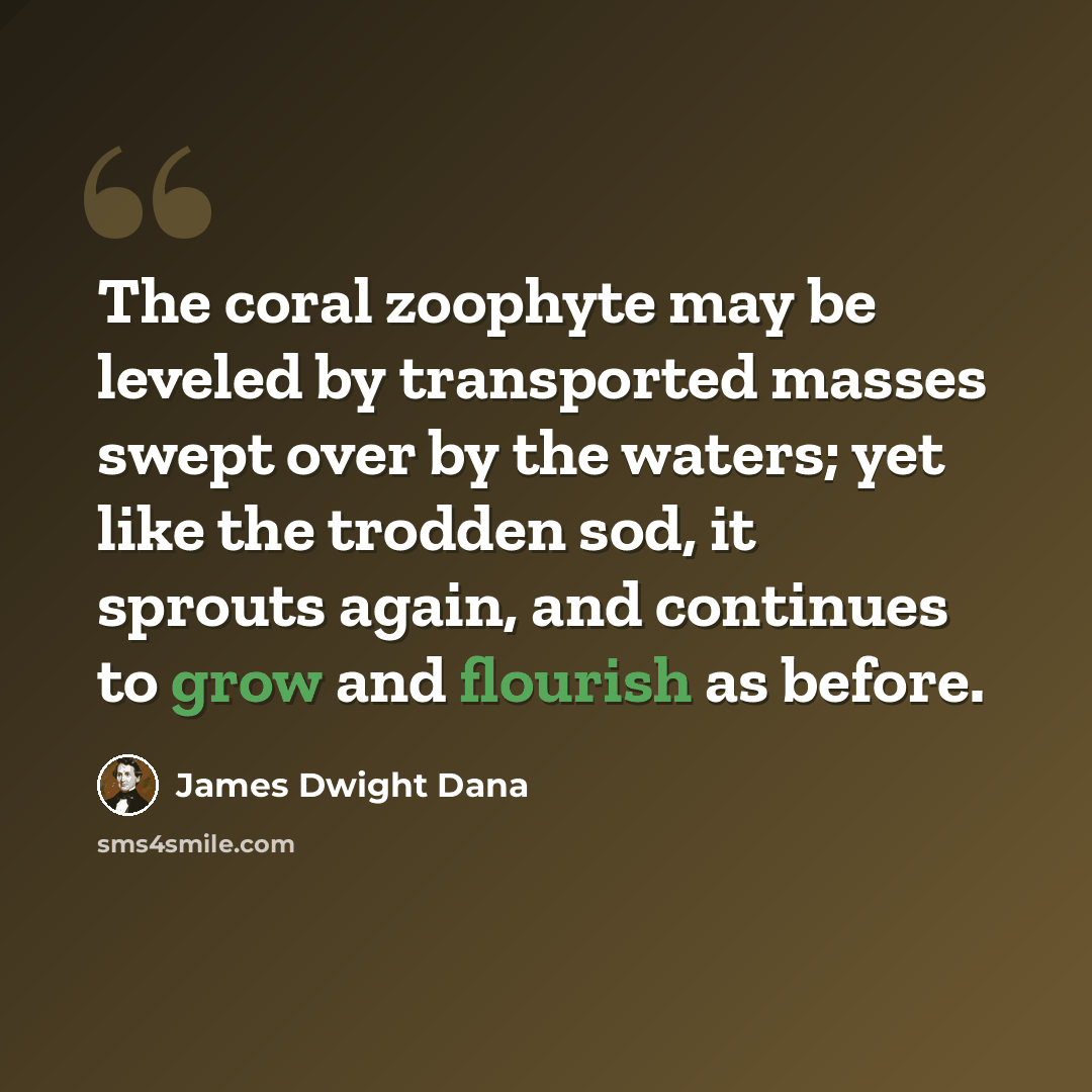 “The coral zoophyte may be leveled by transported masses swept over by the waters; yet like the trodden sod, it sprouts again, and continues to grow and flourish as before.” quote by James Dwight Dana