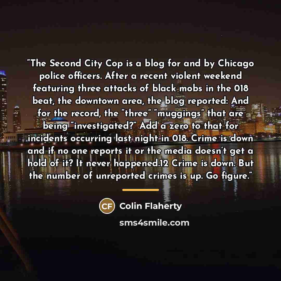 “The Second City Cop is a blog for and by Chicago police officers. After a recent violent weekend featuring three attacks of black mobs in the 018 beat, the downtown area, the blog reported: And for the record, the “three” “muggings” that are being “investigated?” Add a zero to that for incidents…” quote by Colin Flaherty