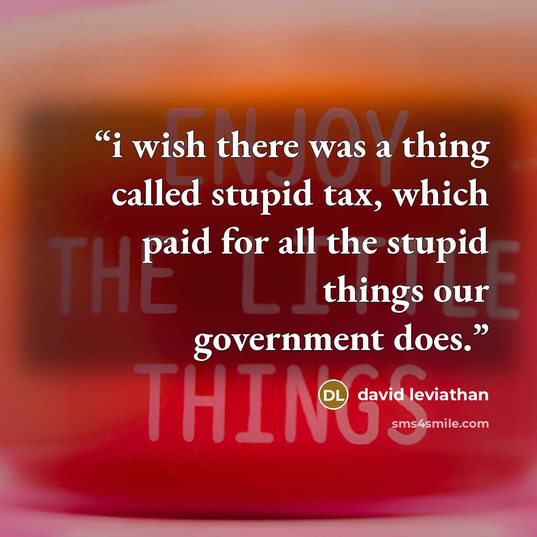 “i wish there was a thing called stupid tax, which paid for all the stupid things our government does.” quote by david leviathan