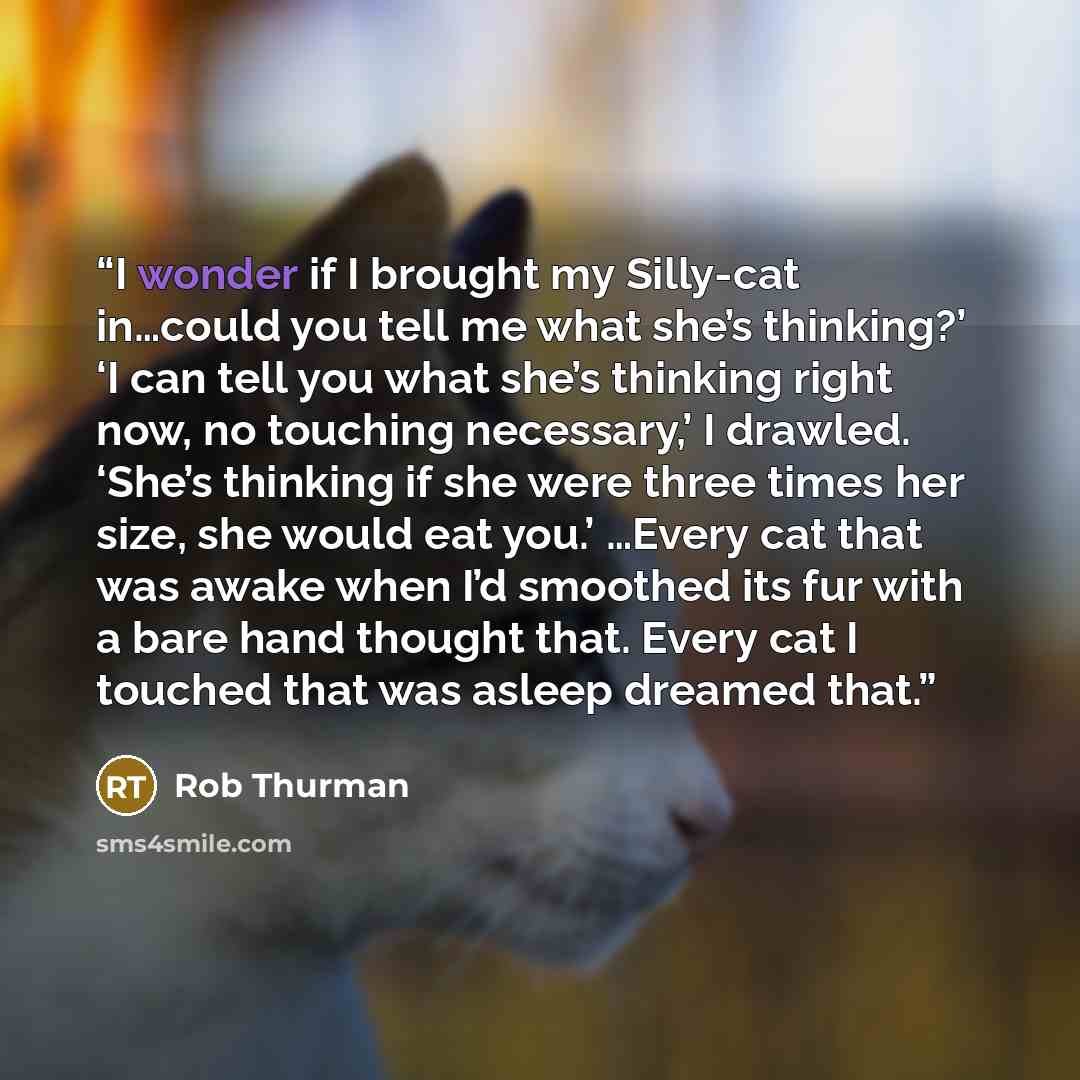 “I wonder if I brought my Silly-cat in…could you tell me what she’s thinking?’ ‘I can tell you what she’s thinking right now, no touching necessary,’ I drawled. ‘She’s thinking if she were three times her size, she would eat you.’ …Every cat that was awake when I’d smoothed its fur with a bare hand…” quote by Rob Thurman