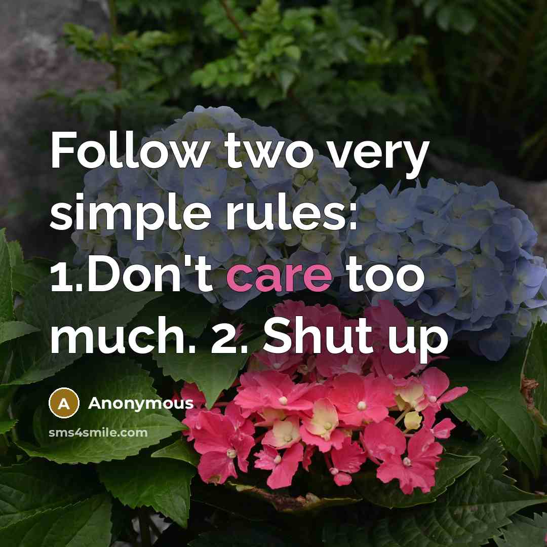 “Follow two very simple rules: 1.Don't care too much. 2. Shut up” quote by Anonymous