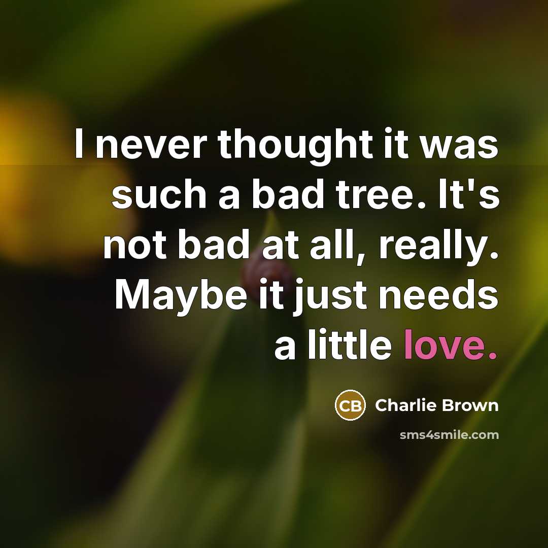 “I never thought it was such a bad tree. It's not bad at all, really. Maybe it just needs a little love.” quote by Charlie Brown