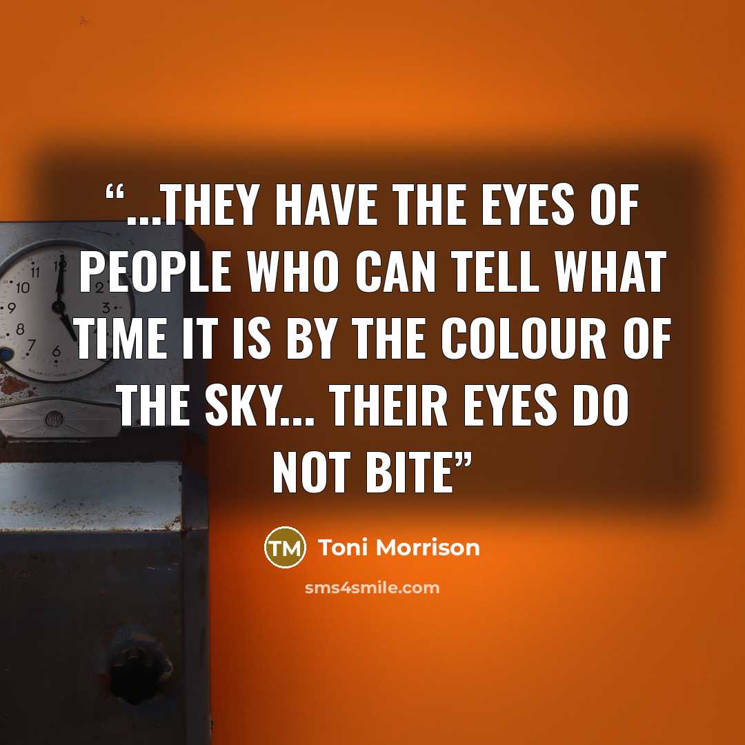 “...they have the eyes of people who can tell what time it is by the colour of the sky... their eyes do not bite” quote by Toni Morrison
