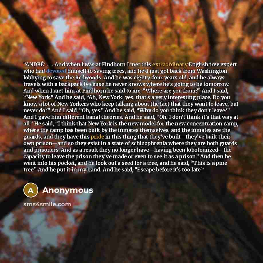“ANDRÉ: . . . And when I was at Findhorn I met this extraordinary English tree expert who had devoted himself to saving trees, and he’d just got back from Washington lobbying to save the Redwoods. And he was eighty-four years old, and he always travels with a backpack because he never knows where…” quote by Anonymous