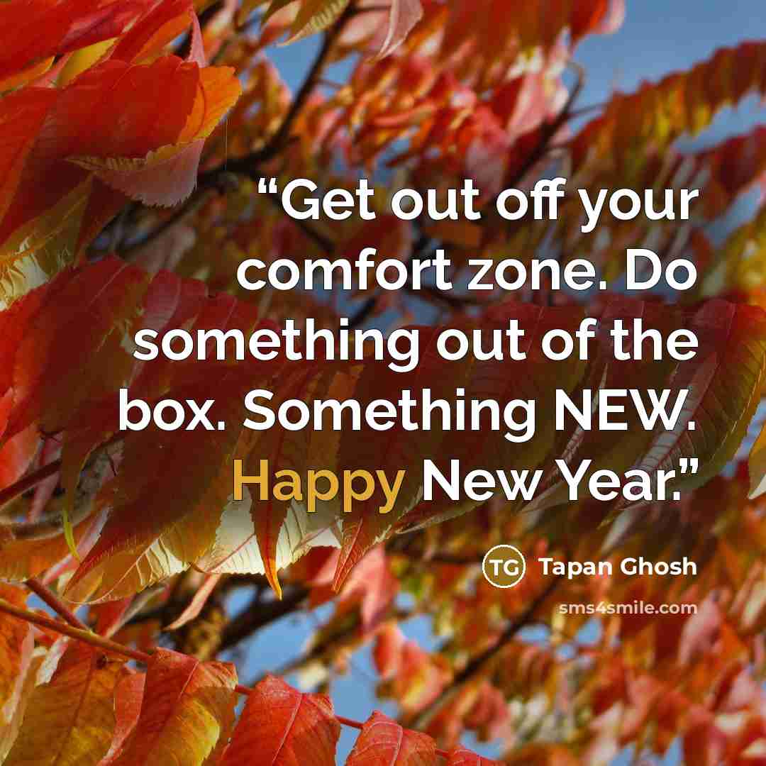 “Get out off your comfort zone. Do something out of the box. Something NEW. Happy New Year.” quote by Tapan Ghosh