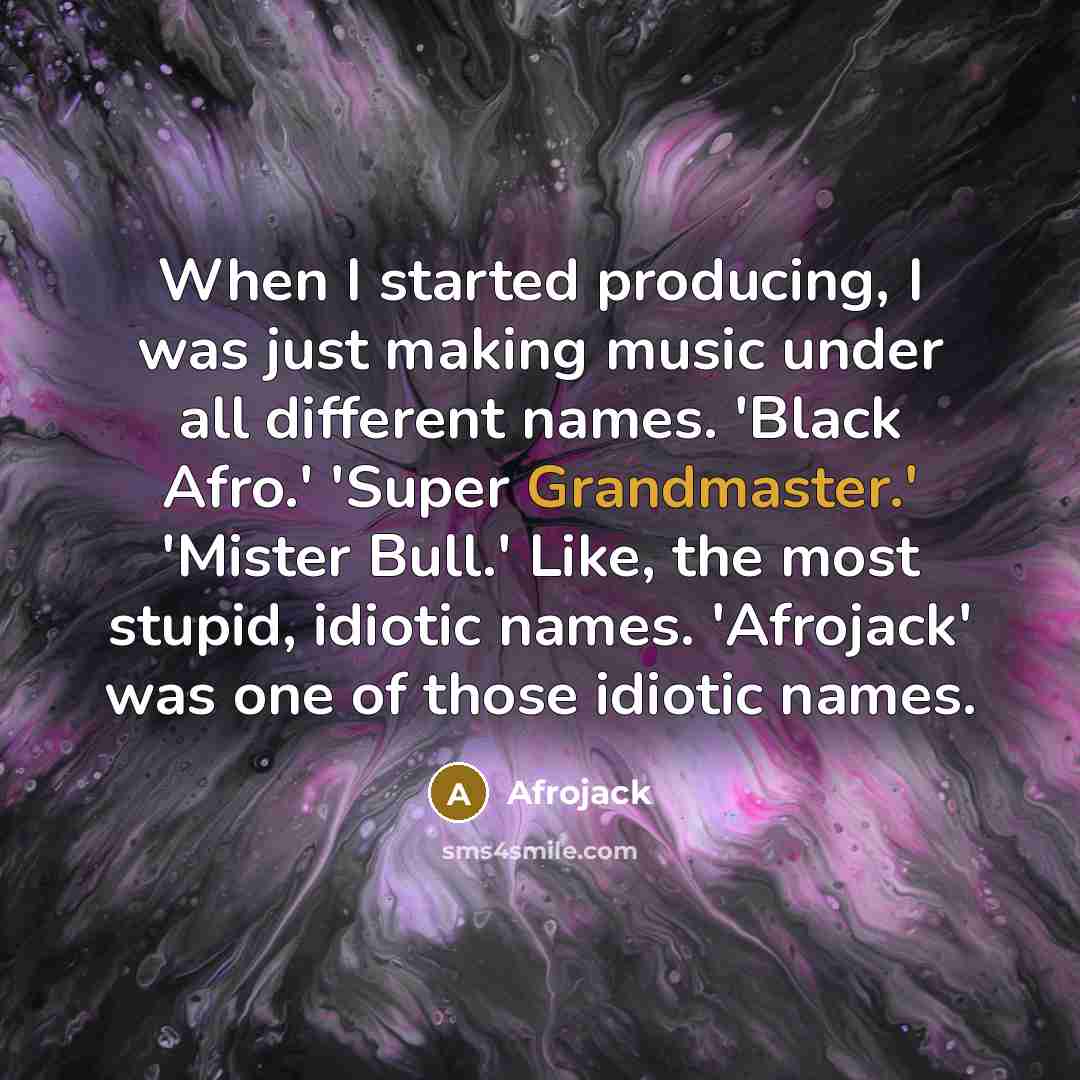 “When I started producing, I was just making music under all different names. 'Black Afro.' 'Super Grandmaster.' 'Mister Bull.' Like, the most stupid, idiotic names. 'Afrojack' was one of those idiotic names.” quote by Afrojack