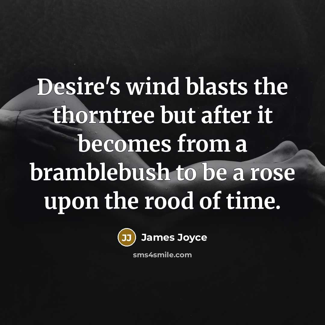 “Desire's wind blasts the thorntree but after it becomes from a bramblebush to be a rose upon the rood of time.” quote by James Joyce