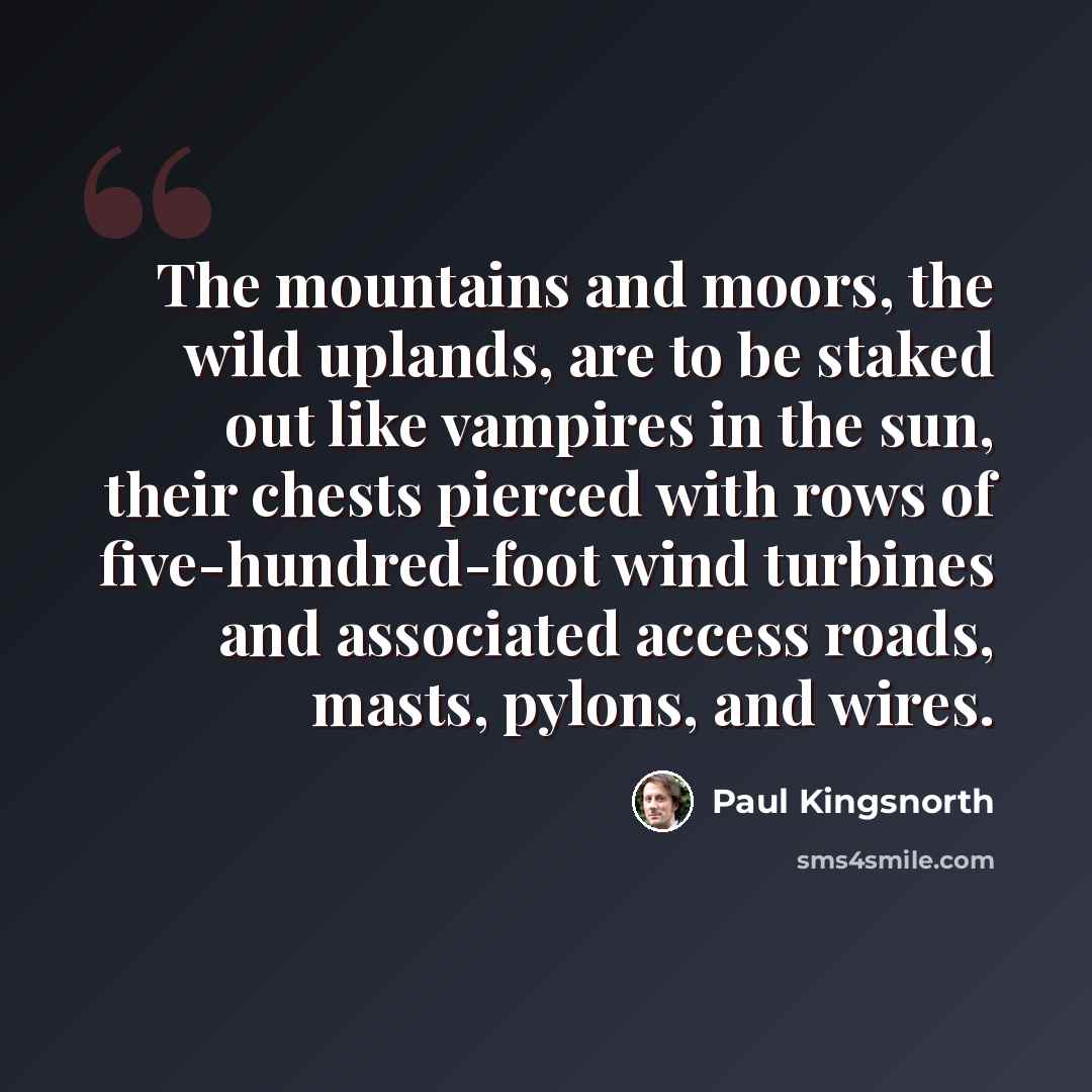 “The mountains and moors, the wild uplands, are to be staked out like vampires in the sun, their chests pierced with rows of five-hundred-foot wind turbines and associated access roads, masts, pylons, and wires.” quote by Paul Kingsnorth