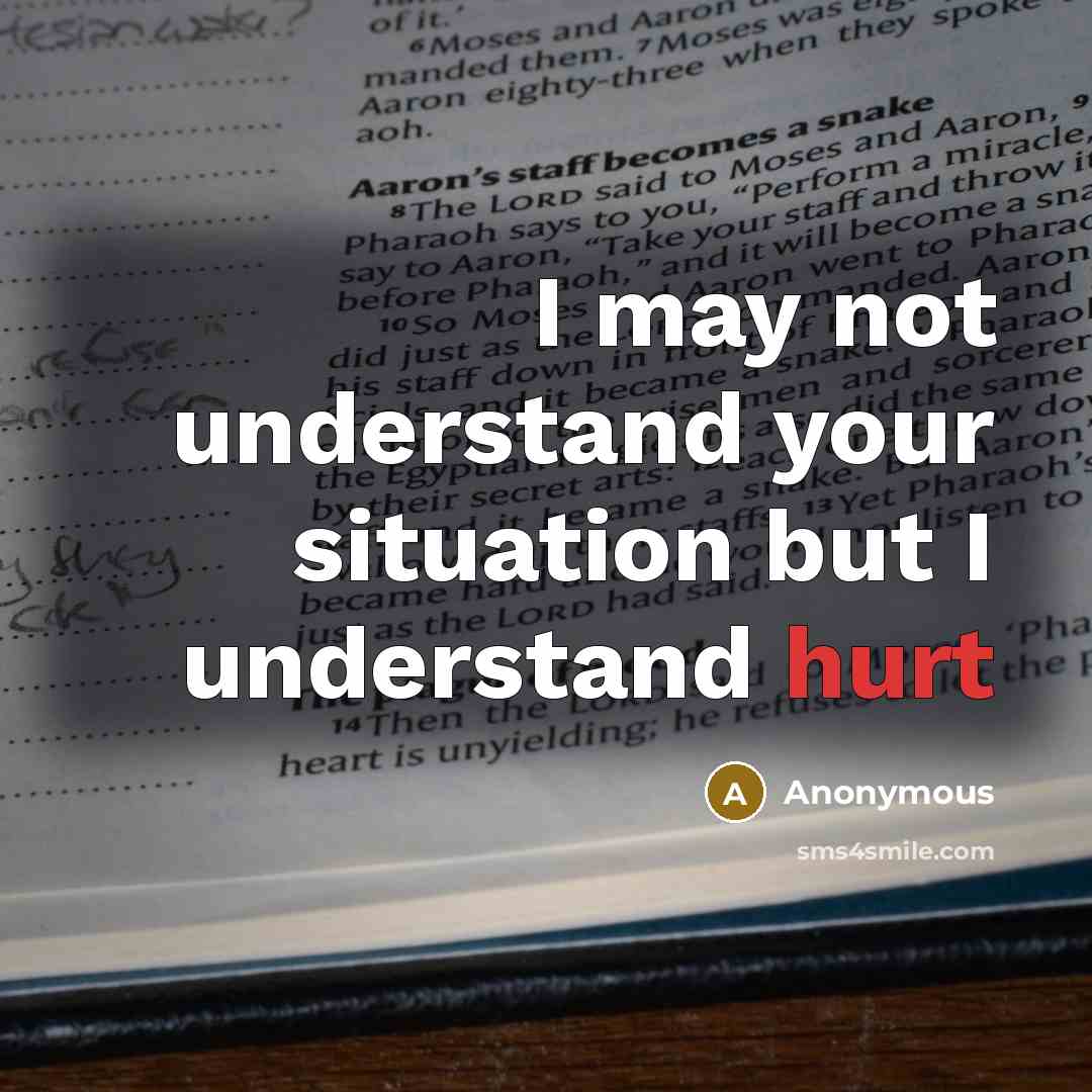 “I may not understand your situation but I understand hurt” quote by Anonymous