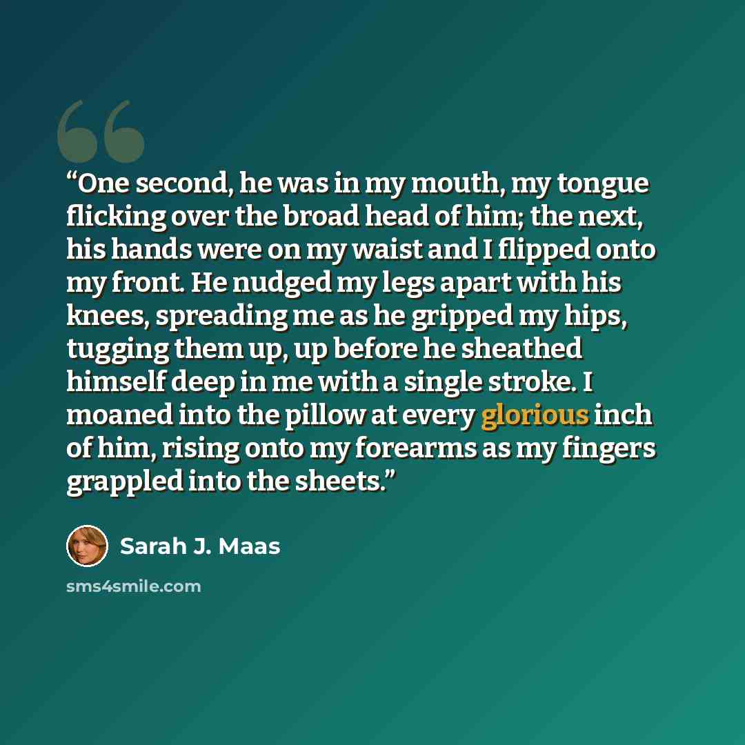 “One second, he was in my mouth, my tongue flicking over the broad head of him; the next, his hands were on my waist and I flipped onto my front. He nudged my legs apart with his knees, spreading me as he gripped my hips, tugging them up, up before he sheathed himself deep in me with a single…” quote by Sarah J. Maas