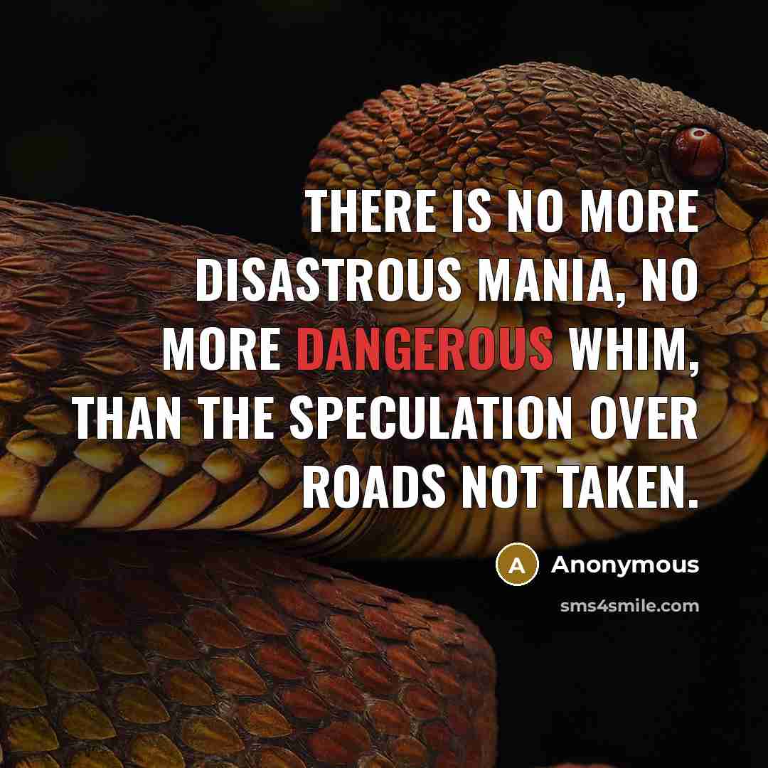 “There is no more disastrous mania, no more dangerous whim, than the speculation over roads not taken.” quote by Anonymous
