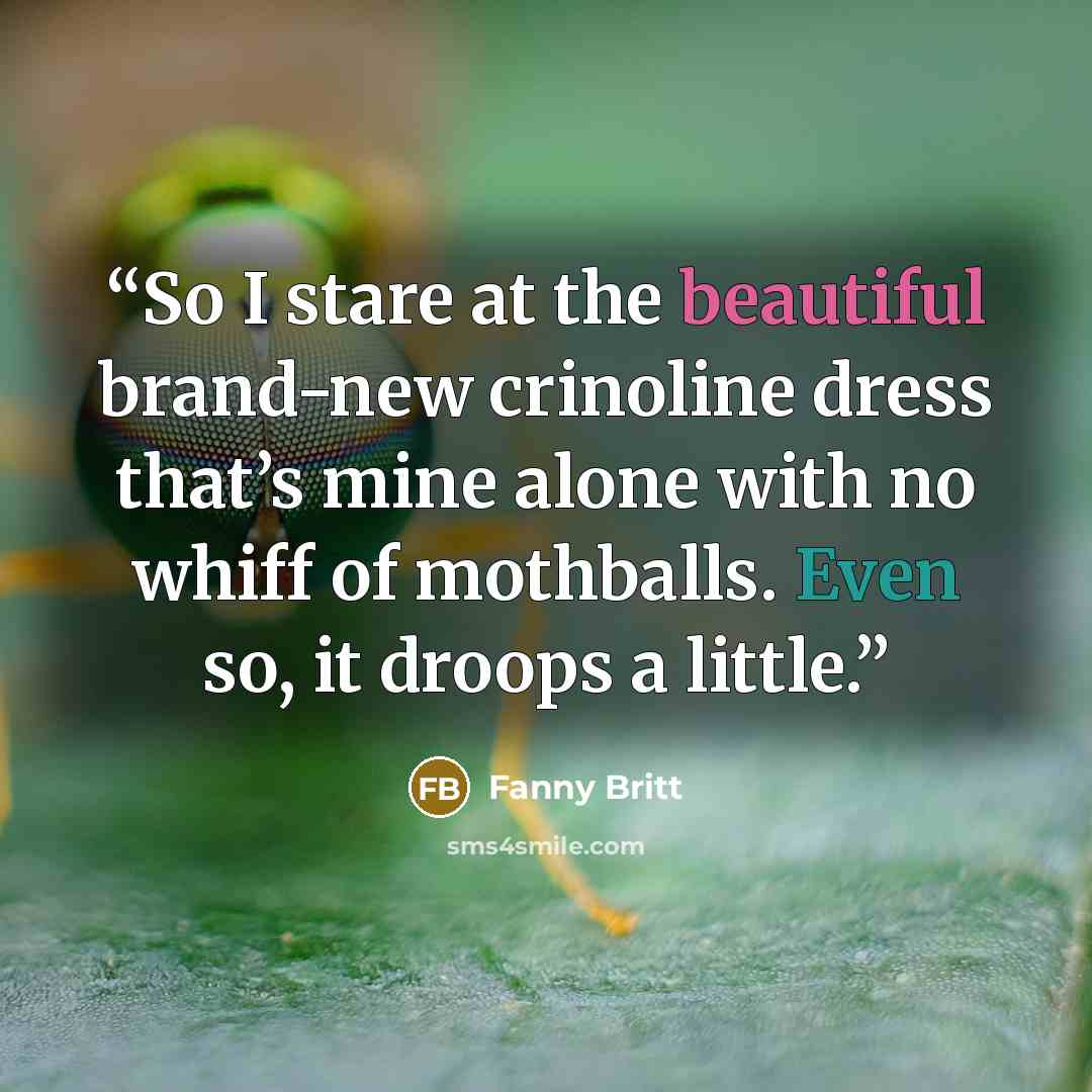 “So I stare at the beautiful brand-new crinoline dress that’s mine alone with no whiff of mothballs. Even so, it droops a little.” quote by Fanny Britt