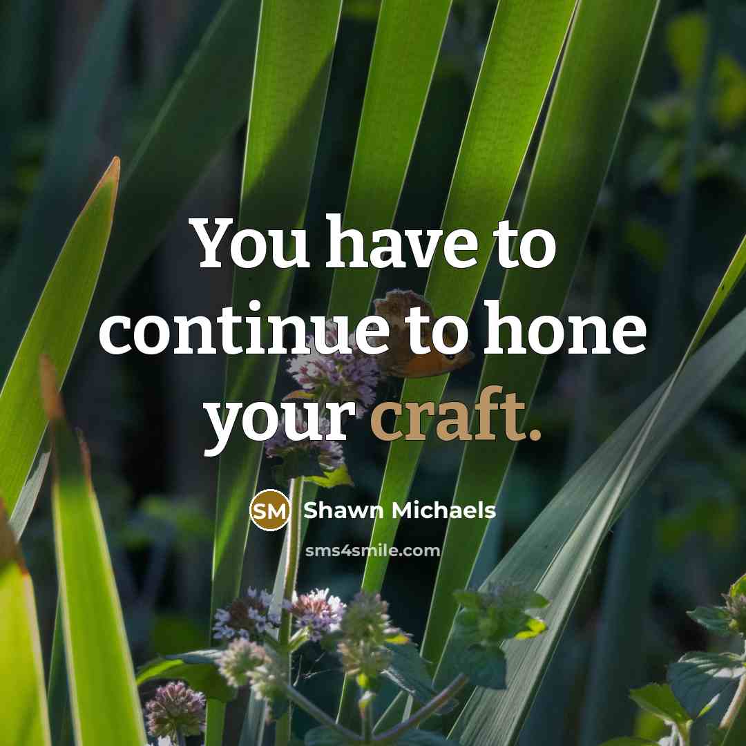 “You have to continue to hone your craft.” quote by Shawn Michaels
