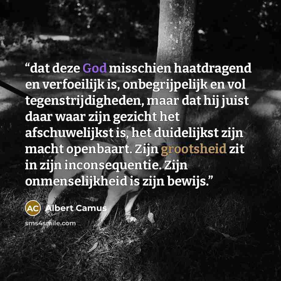 “dat deze God misschien haatdragend en verfoeilijk is, onbegrijpelijk en vol tegenstrijdigheden, maar dat hij juist daar waar zijn gezicht het afschuwelijkst is, het duidelijkst zijn macht openbaart. Zijn grootsheid zit in zijn inconsequentie. Zijn onmenselijkheid is zijn bewijs.” quote by Albert Camus