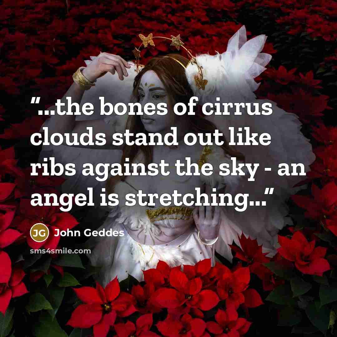 “...the bones of cirrus clouds stand out like ribs against the sky - an angel is stretching...” quote by John Geddes