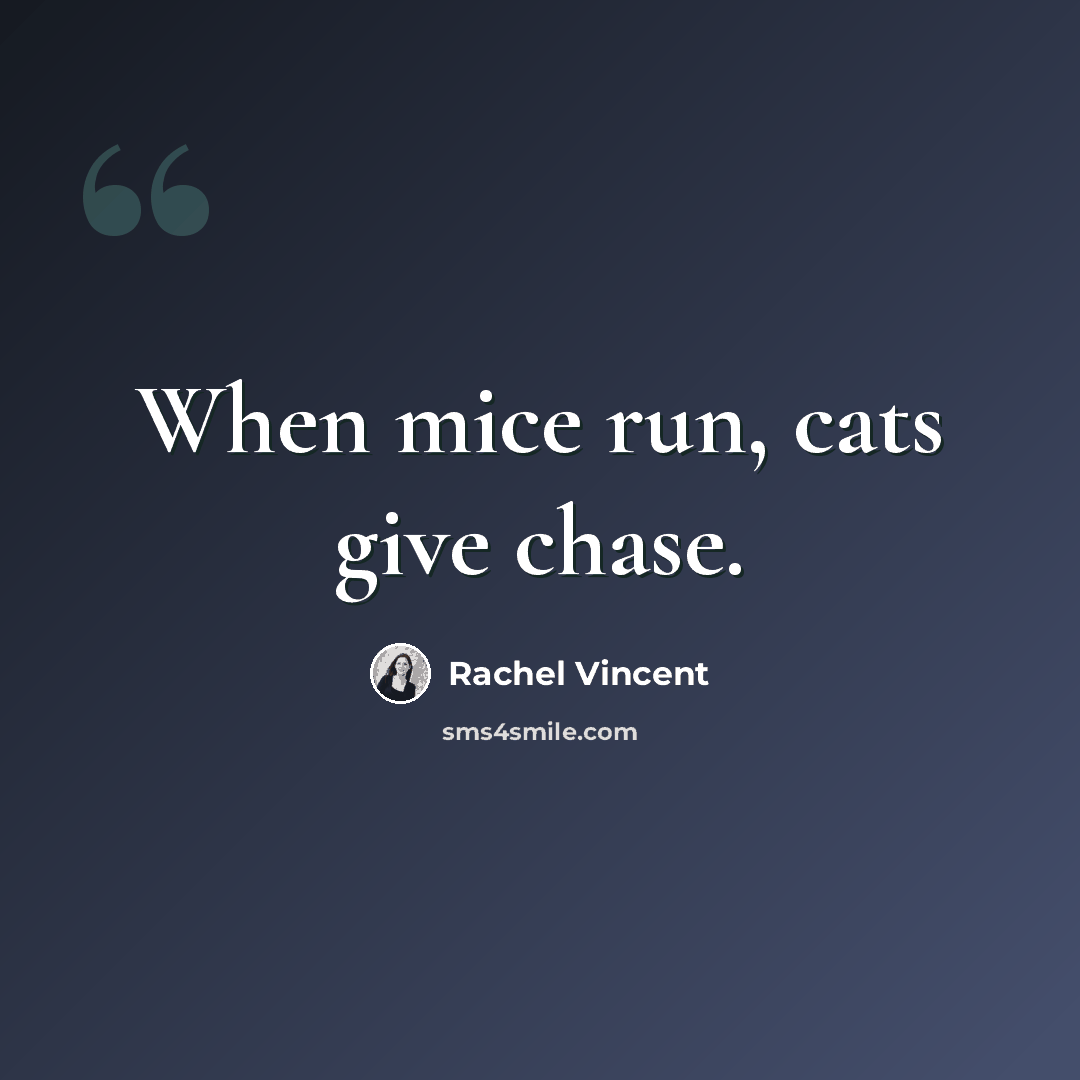 “When mice run, cats give chase.” quote by Rachel Vincent