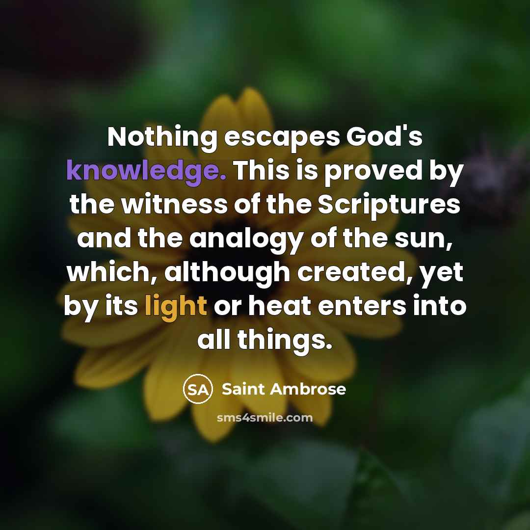 “Nothing escapes God's knowledge. This is proved by the witness of the Scriptures and the analogy of the sun, which, although created, yet by its light or heat enters into all things.” quote by Saint Ambrose