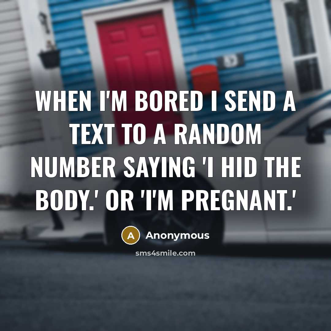 “When I'm bored I send a text to a random number saying 'I hid the body.' or 'I'm pregnant.'” quote by Anonymous