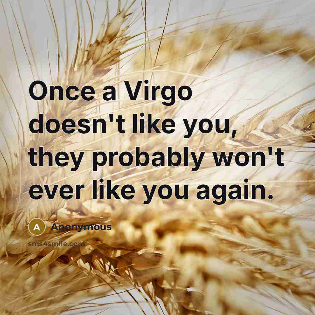 “Once a Virgo doesn't like you, they probably won't ever like you again.” quote by Anonymous