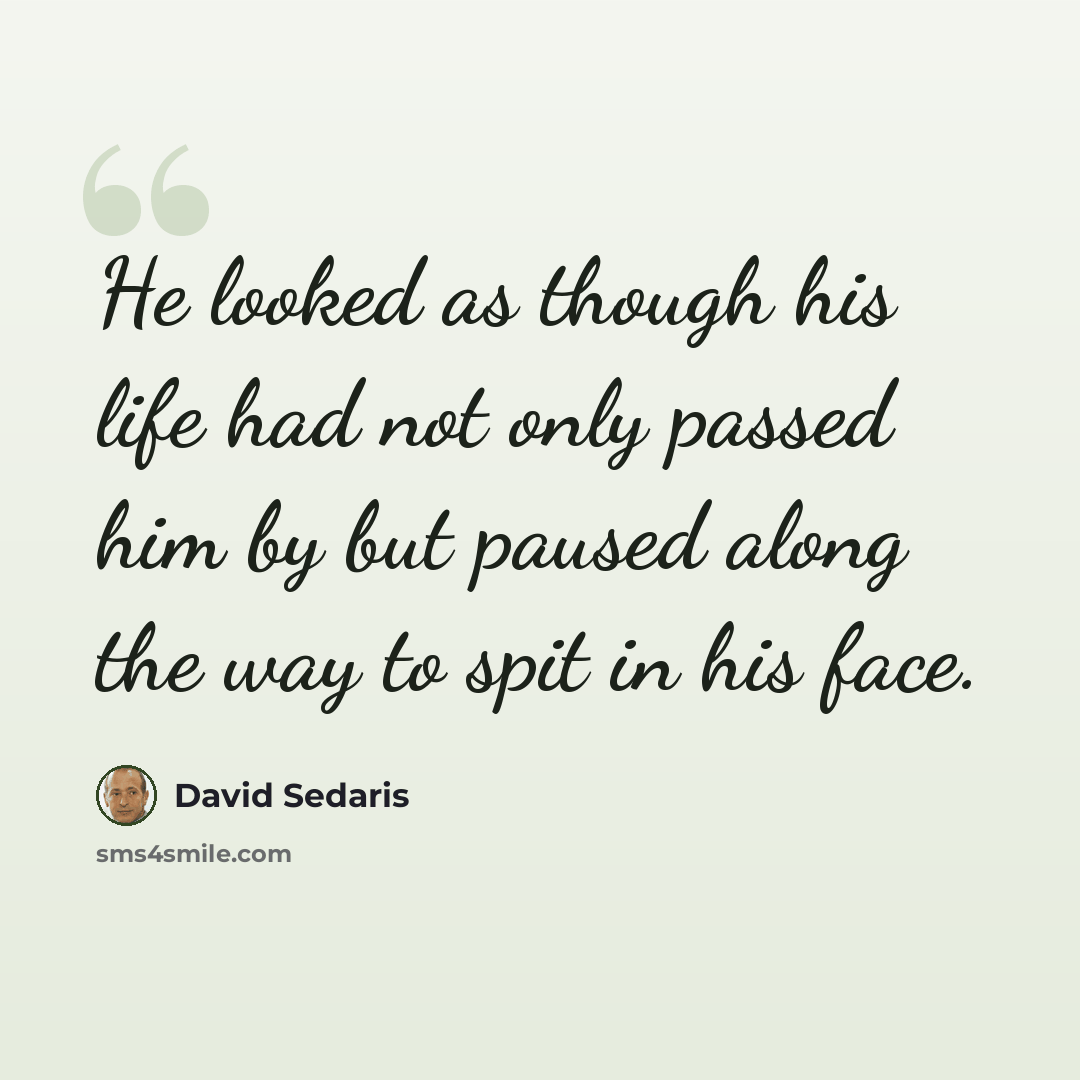 “He looked as though his life had not only passed him by but paused along the way to spit in his face.” quote by David Sedaris