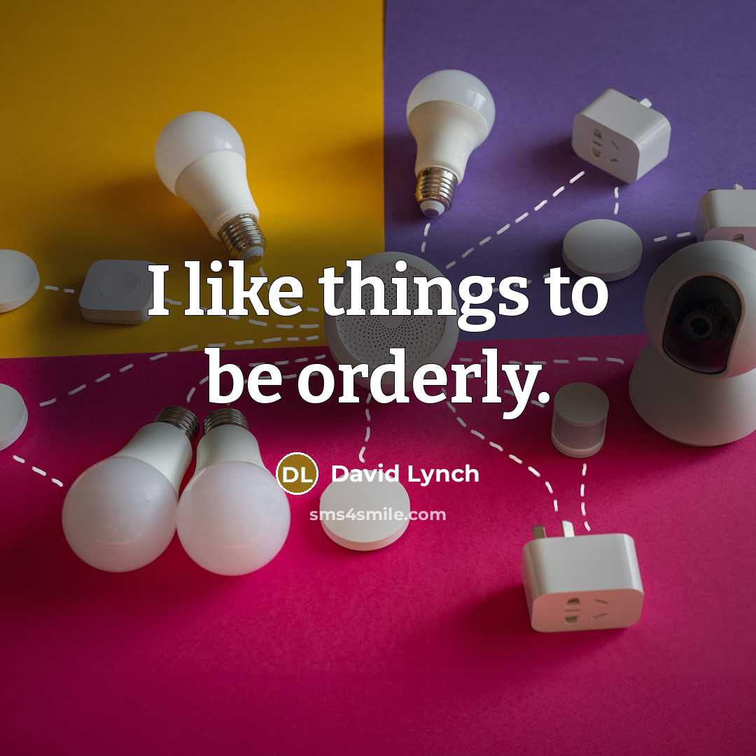 “I like things to be orderly.” quote by David Lynch
