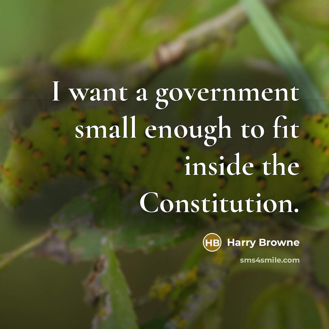 “I want a government small enough to fit inside the Constitution.” quote by Harry Browne