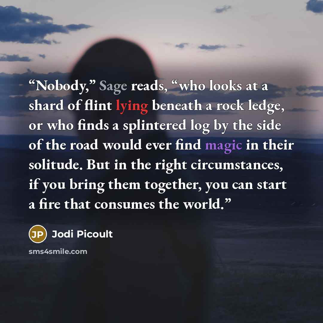 “Nobody,” Sage reads, “who looks at a shard of flint lying beneath a rock ledge, or who finds a splintered log by the side of the road would ever find magic in their solitude. But in the right circumstances, if you bring them together, you can start a fire that consumes the world.” quote by Jodi Picoult
