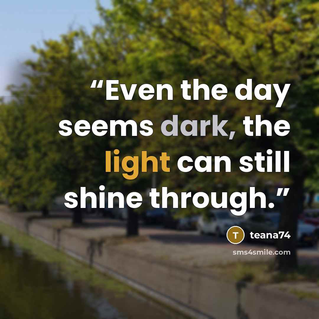 “Even the day seems dark, the light can still shine through.” quote by teana74