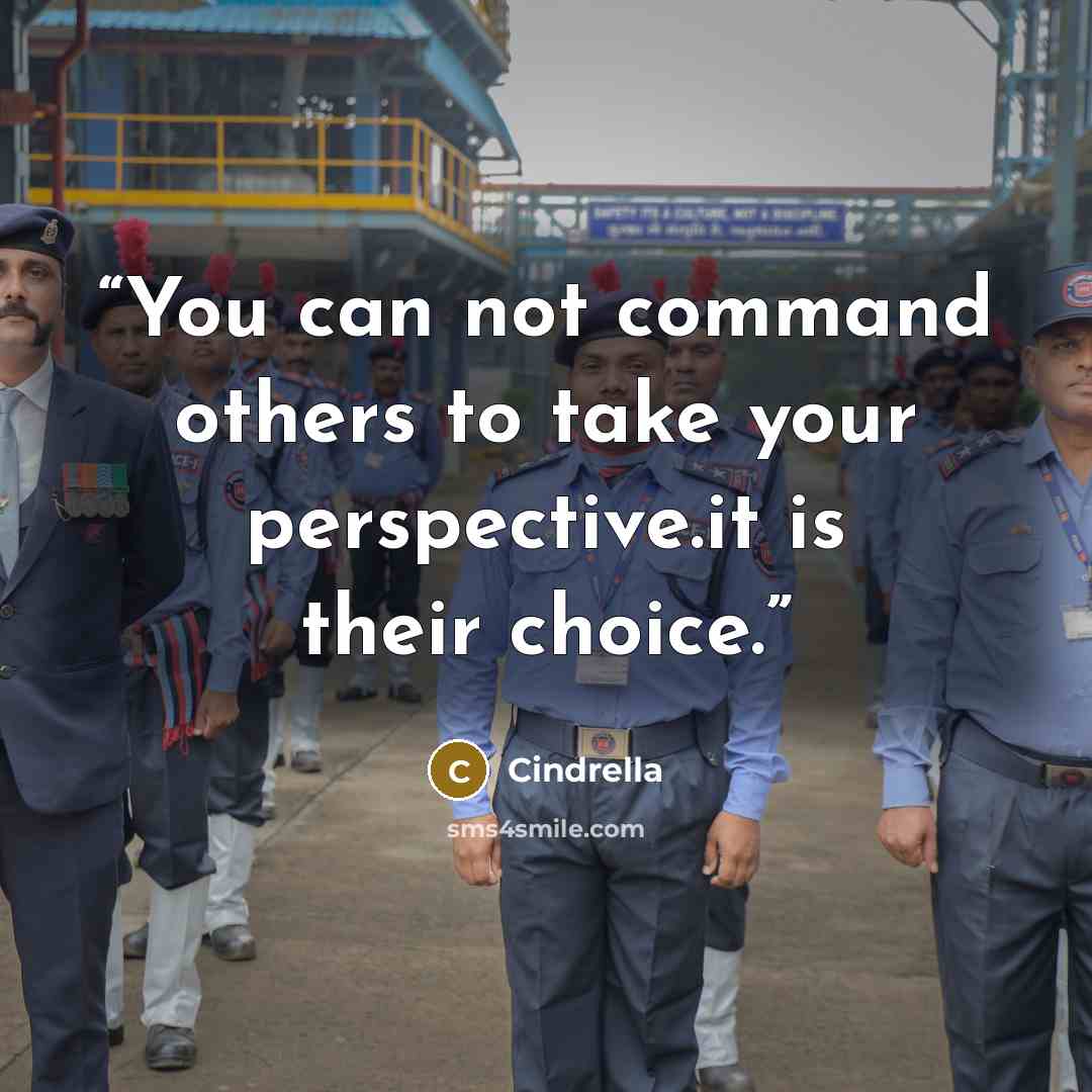 “You can not command others to take your perspective.it is their choice.” quote by Cindrella