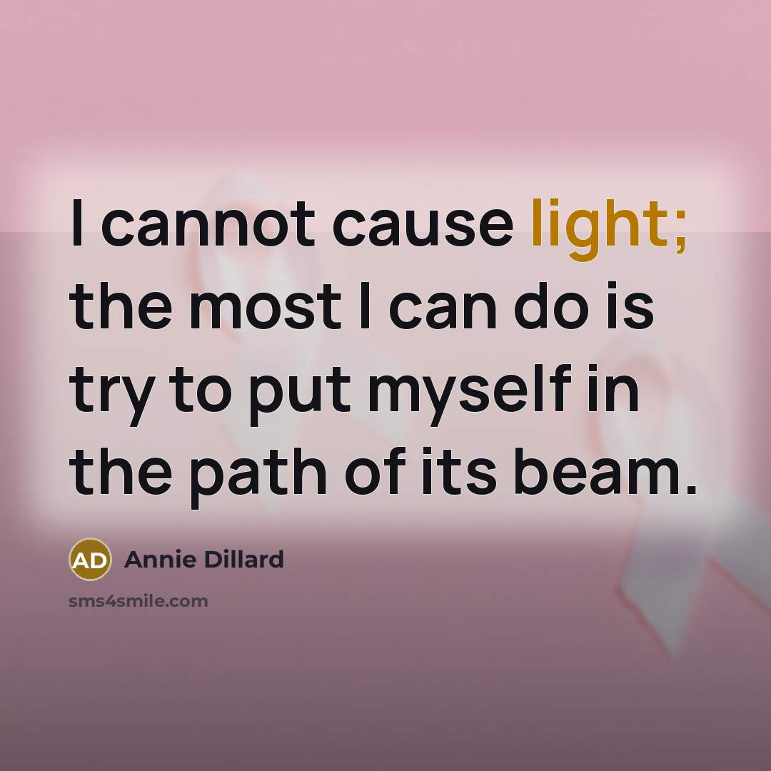 “I cannot cause light; the most I can do is try to put myself in the path of its beam.” quote by Annie Dillard