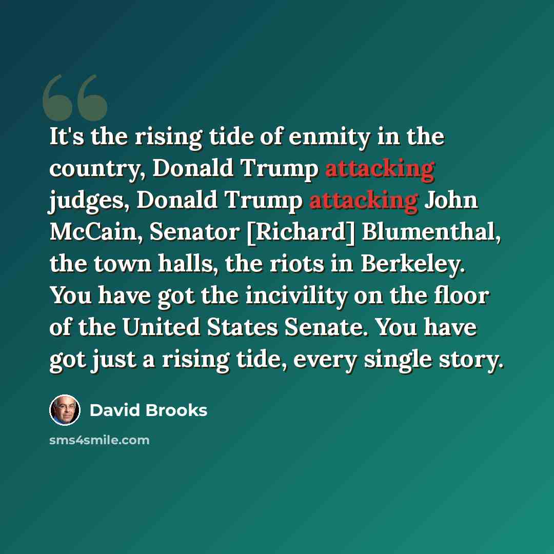 “It's the rising tide of enmity in the country, Donald Trump attacking judges, Donald Trump attacking John McCain, Senator [Richard] Blumenthal, the town halls, the riots in Berkeley. You have got the incivility on the floor of the United States Senate. You have got just a rising tide, every single…” quote by David Brooks