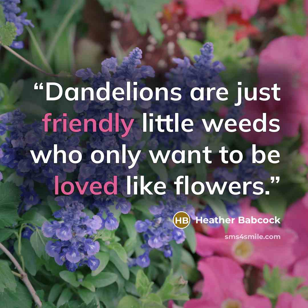 “Dandelions are just friendly little weeds who only want to be loved like flowers.” quote by Heather Babcock