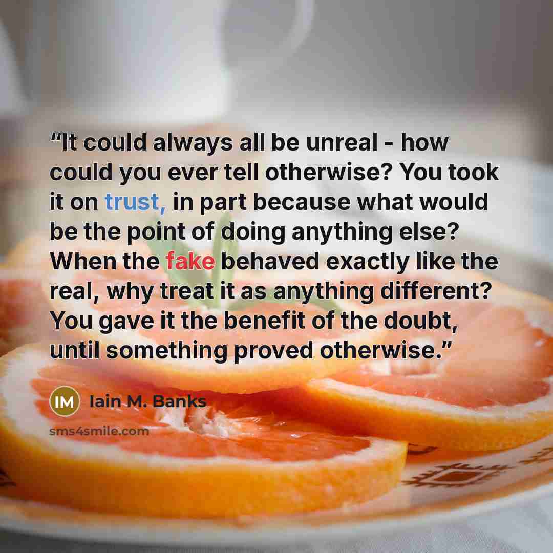 “It could always all be unreal - how could you ever tell otherwise? You took it on trust, in part because what would be the point of doing anything else? When the fake behaved exactly like the real, why treat it as anything different? You gave it the benefit of the doubt, until something proved…” quote by Iain M. Banks