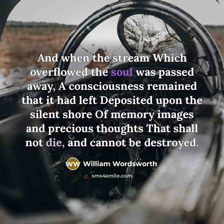 “And when the stream Which overflowed the soul was passed away, A consciousness remained that it had left Deposited upon the silent shore Of memory images and precious thoughts That shall not die, and cannot be destroyed.” quote by William Wordsworth