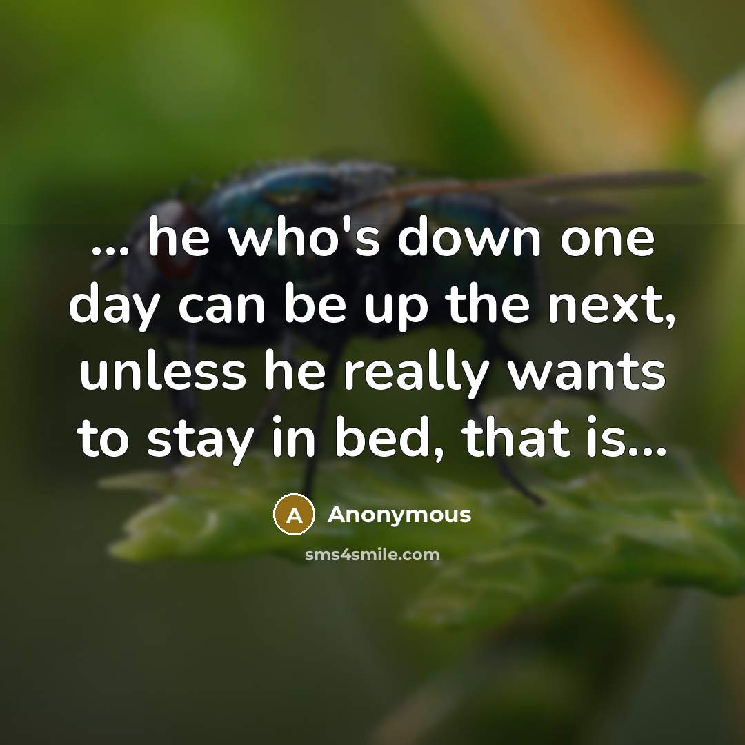 “... he who's down one day can be up the next, unless he really wants to stay in bed, that is...” quote by Anonymous