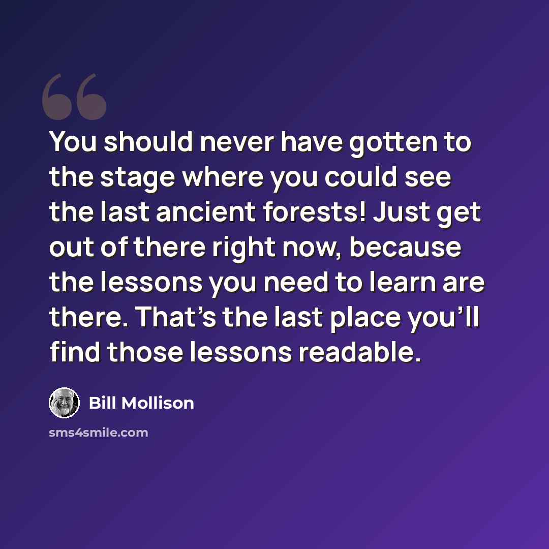 “You should never have gotten to the stage where you could see the last ancient forests! Just get out of there right now, because the lessons you need to learn are there. That's the last place you'll find those lessons readable.” quote by Bill Mollison