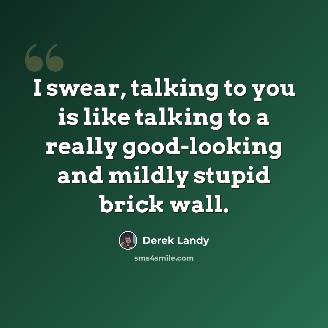 “I swear, talking to you is like talking to a really good-looking and mildly stupid brick wall.” quote by Derek Landy