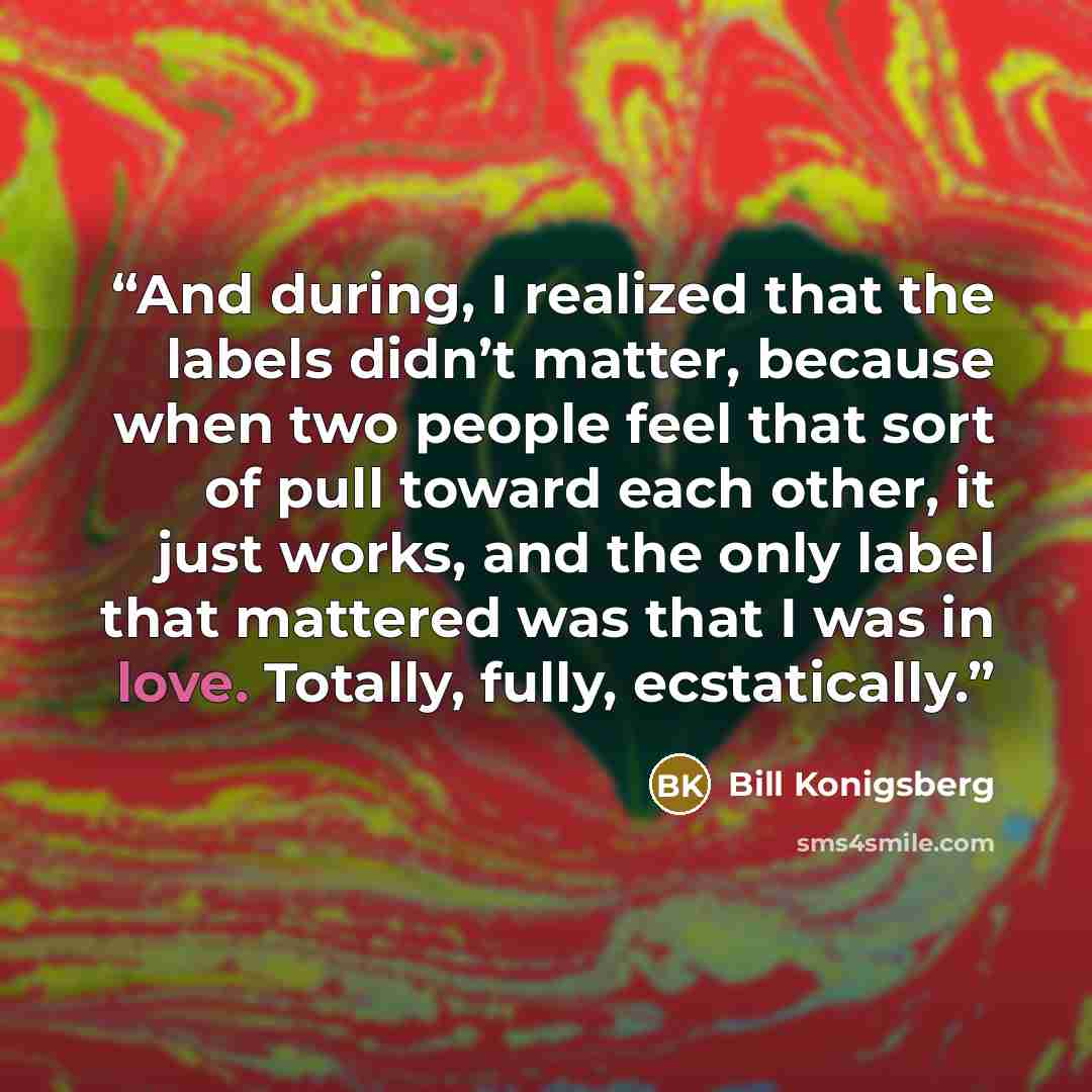 “And during, I realized that the labels didn’t matter, because when two people feel that sort of pull toward each other, it just works, and the only label that mattered was that I was in love. Totally, fully, ecstatically.” quote by Bill Konigsberg