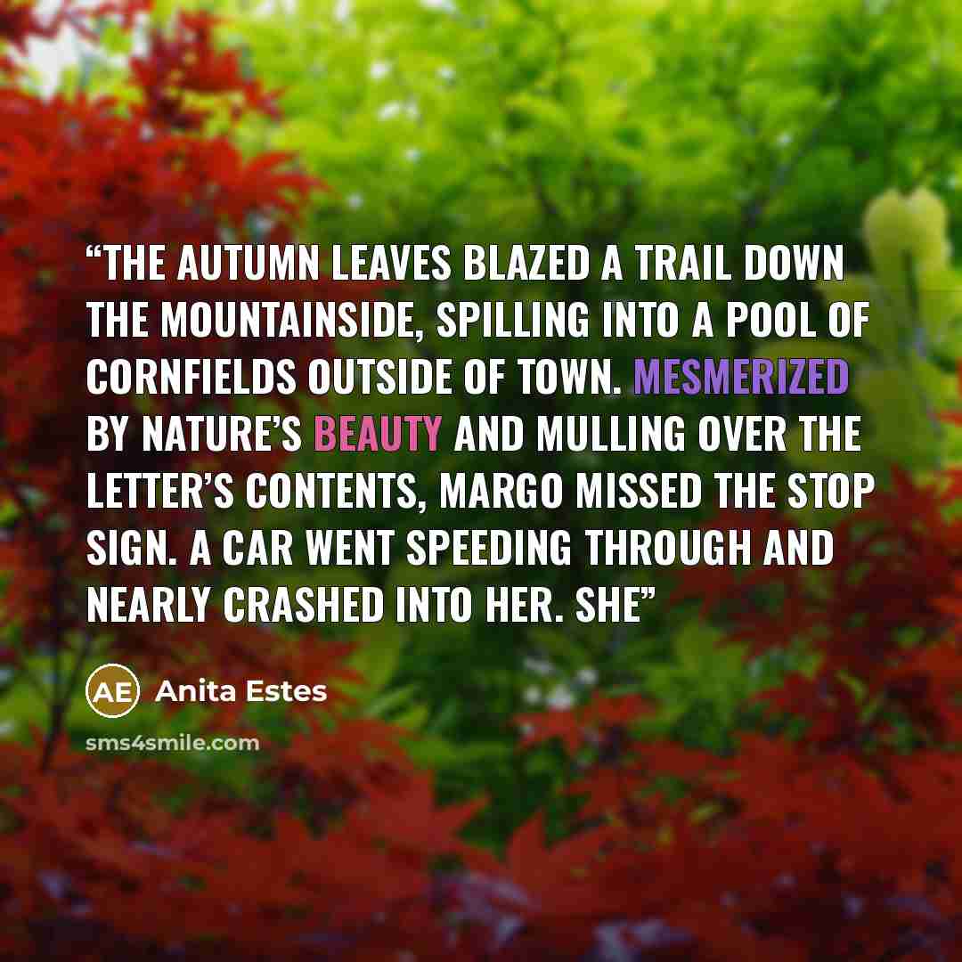 “The autumn leaves blazed a trail down the mountainside, spilling into a pool of cornfields outside of town. Mesmerized by nature’s beauty and mulling over the letter’s contents, Margo missed the stop sign. A car went speeding through and nearly crashed into her. She” quote by Anita Estes