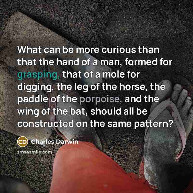 “What can be more curious than that the hand of a man, formed for grasping, that of a mole for digging, the leg of the horse, the paddle of the porpoise, and the wing of the bat, should all be constructed on the same pattern?” quote by Charles Darwin