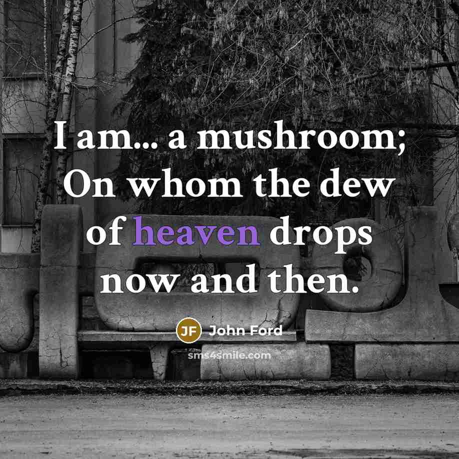 “I am... a mushroom; On whom the dew of heaven drops now and then.” quote by John Ford