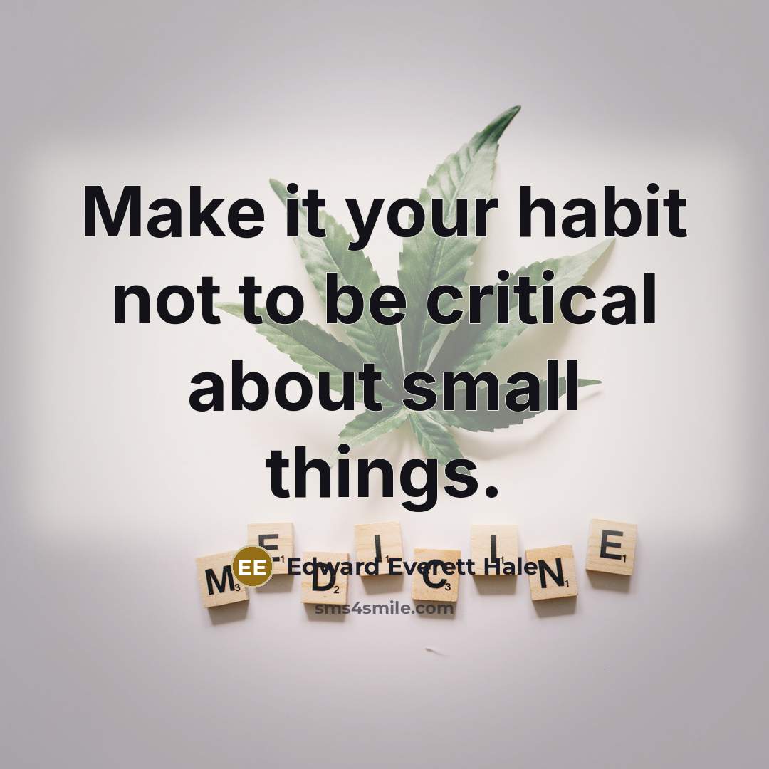 “Make it your habit not to be critical about small things.” quote by Edward Everett Hale