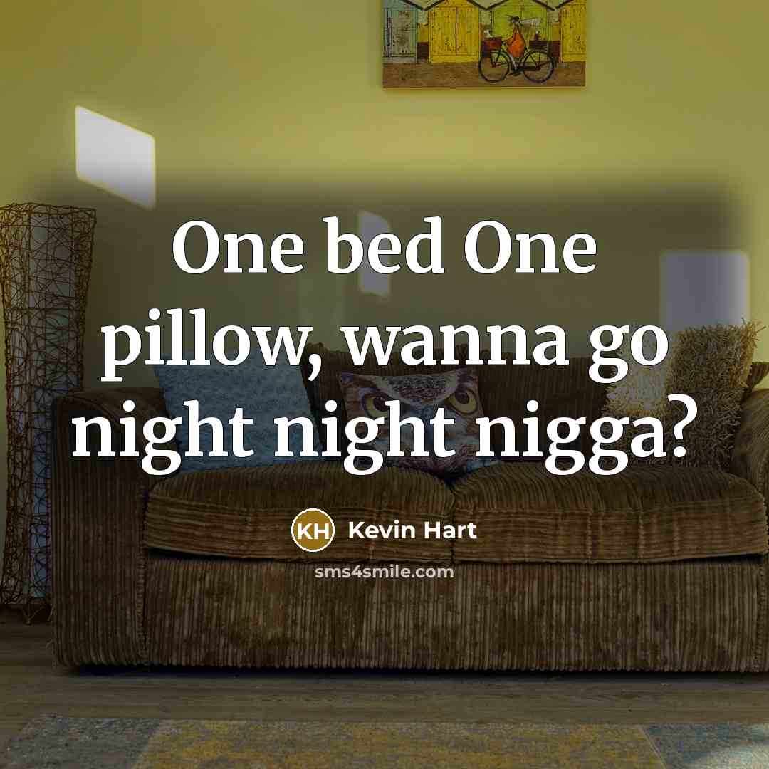 “One bed One pillow, wanna go night night nigga?” quote by Kevin Hart