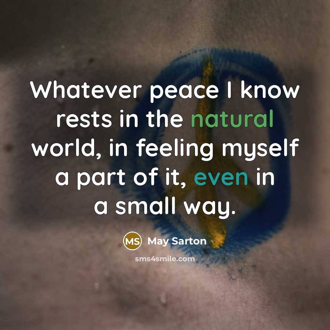 “Whatever peace I know rests in the natural world, in feeling myself a part of it, even in a small way.” quote by May Sarton
