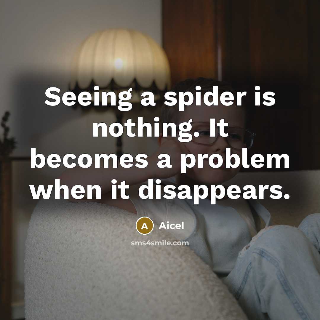 “Seeing a spider is nothing. It becomes a problem when it disappears.” quote by Aicel