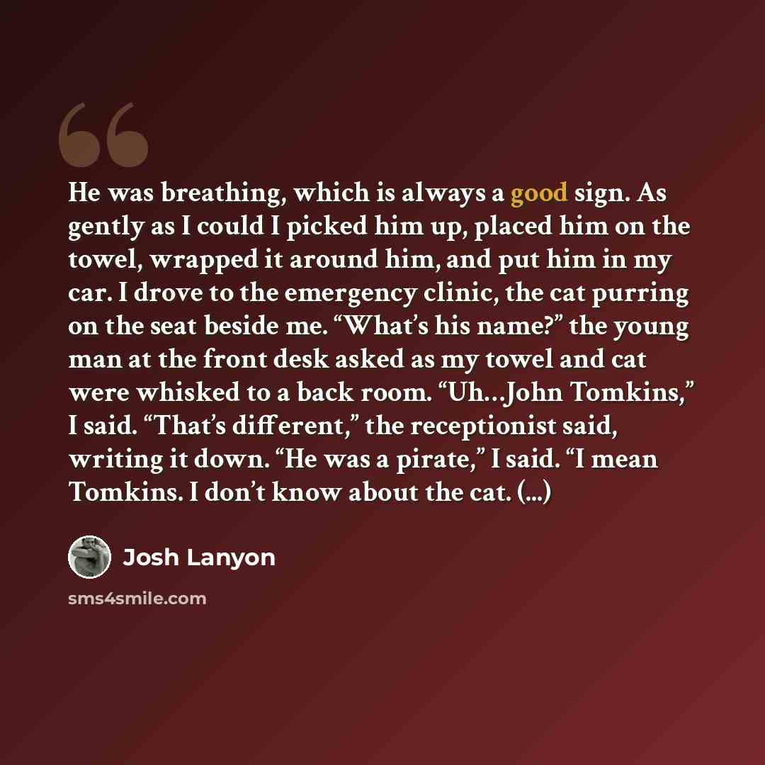 “He was breathing, which is always a good sign. As gently as I could I picked him up, placed him on the towel, wrapped it around him, and put him in my car. I drove to the emergency clinic, the cat purring on the seat beside me. “What’s his name?” the young man at the front desk asked as my towel…” quote by Josh Lanyon