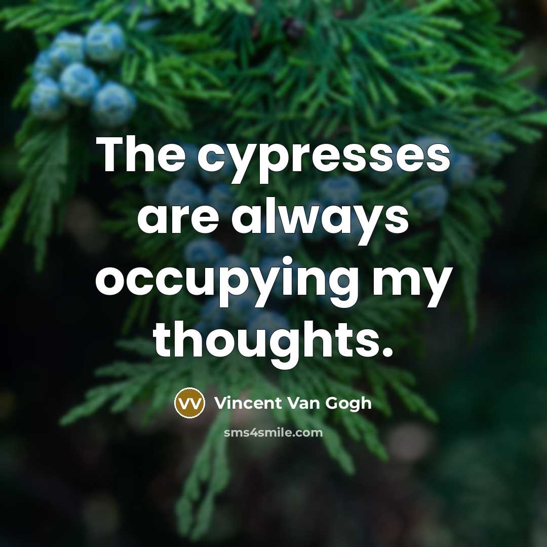 “The cypresses are always occupying my thoughts.” quote by Vincent Van Gogh