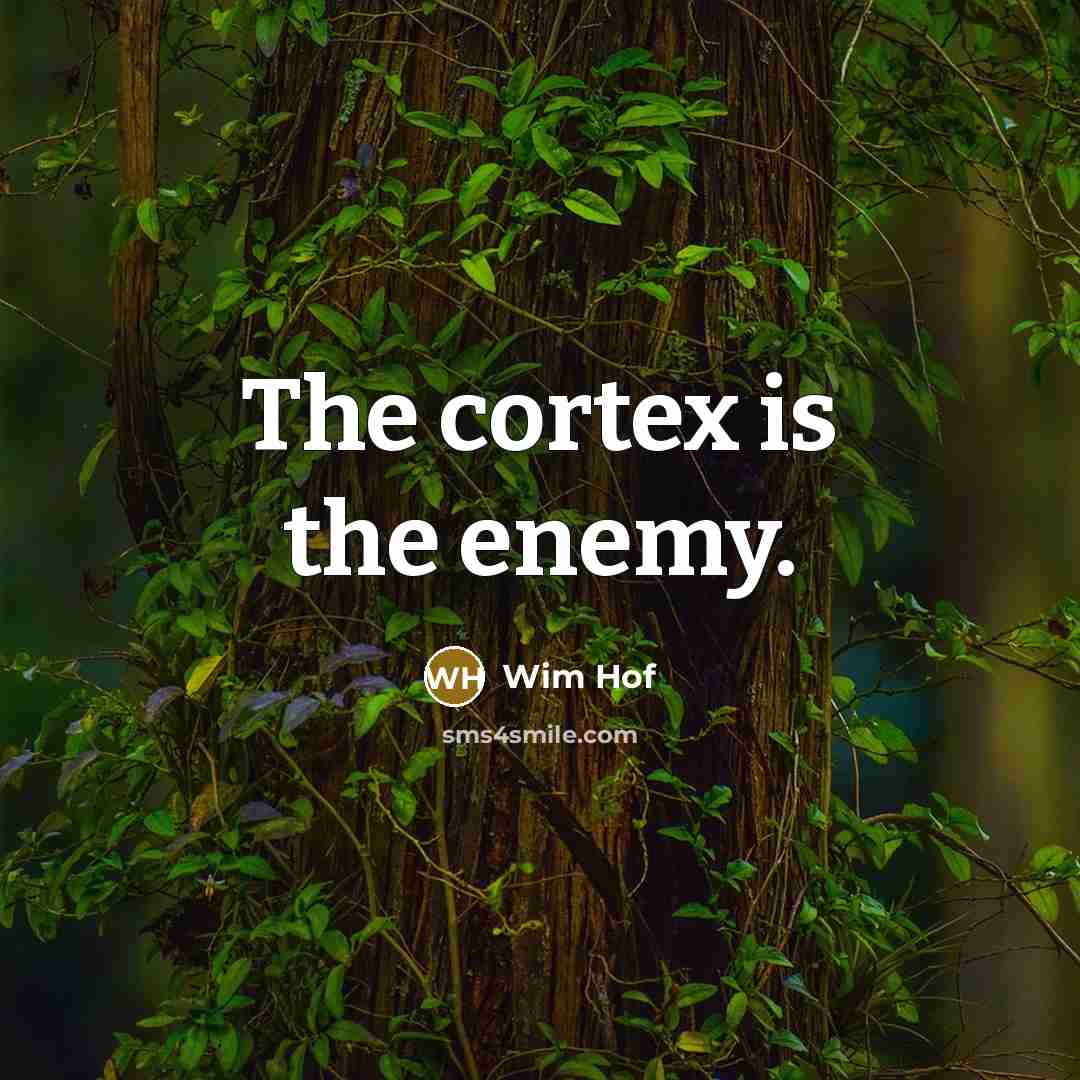“The cortex is the enemy.” quote by Wim Hof