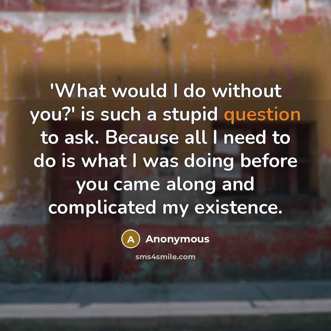 “'What would I do without you?' is such a stupid question to ask. Because all I need to do is what I was doing before you came along and complicated my existence.” quote by Anonymous