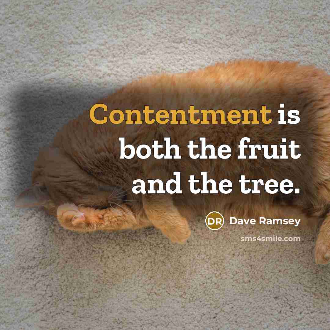 “Contentment is both the fruit and the tree.” quote by Dave Ramsey